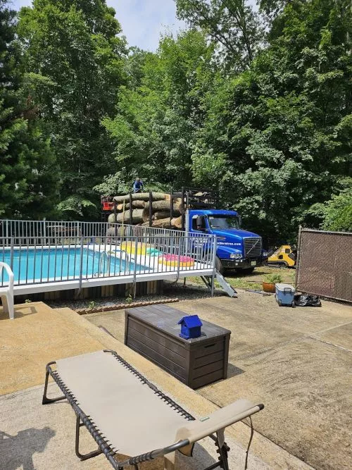 OBrothers is a professional service that work with us to remove trees from our exterior home damage during the 7/4/2026