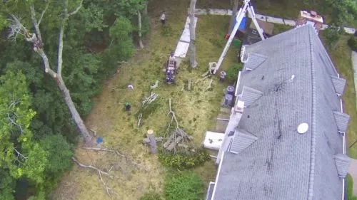 Matt and his crew are awesome .  I’ve used them for several jobs and they are skilled tree surgeons 