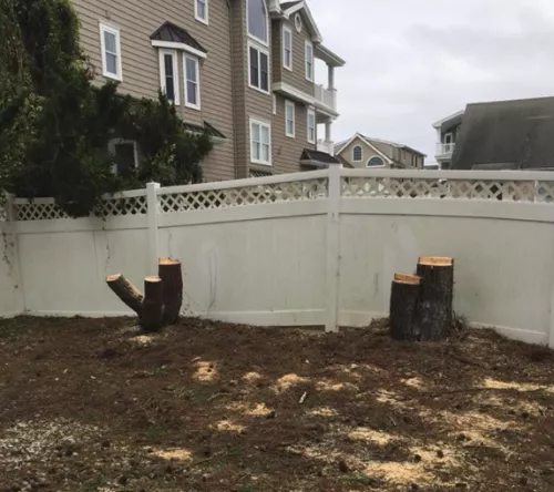 Had a tree fall on the house on 10/30/2025 about 10am. Called Matt a few minutes later as a good piece of the tree was