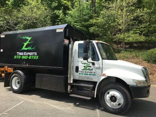 If you’re looking for a professional tree service with great customer service and attention to detail