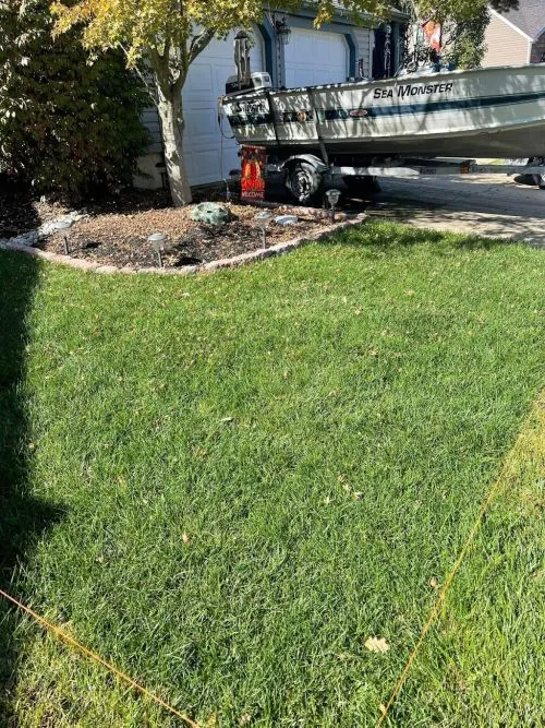 I used Distinct Surroundings for mulching and landscaping clean up including trimming of all of the bushes, etc
