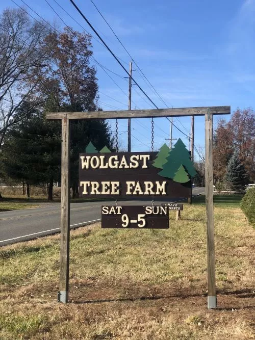 Great little farm. Tree access is very easy from the road and the staff were very helpful and friendly