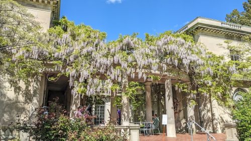  alt='A piece of Heaven! A small but very friendly garden, with centuries-old shrubs and wonderful flowers'