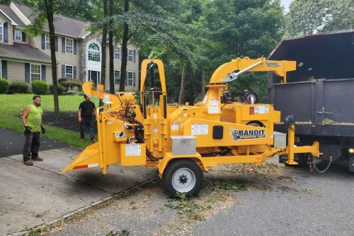  alt='We recently had Bumblebee Tree service come out and help clear a lot of very large oaks away from our back yard'