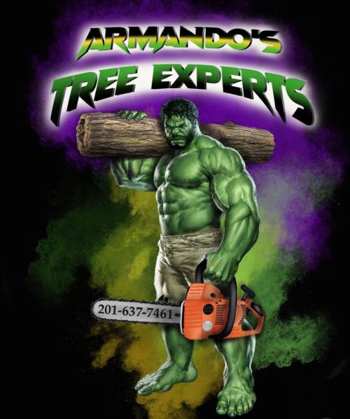  alt='I have used Armando tree services twice now for my home to remove trees. Both times I have been very happy with them'