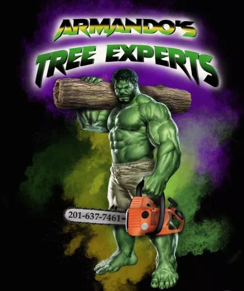 I have used Armando tree services twice now for my home to remove trees. Both times I have been very happy with them