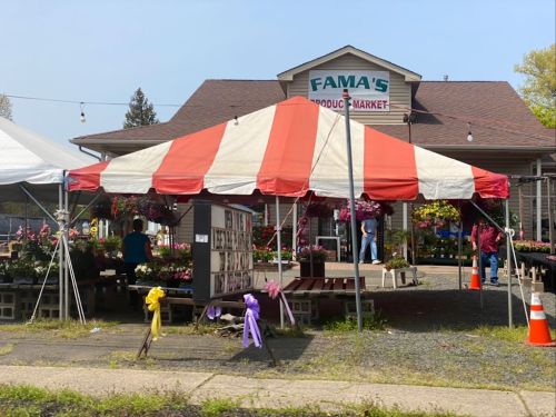  alt='Love this family run nursery! We have been coming here for over 2 years now for our garden plants and flowers'