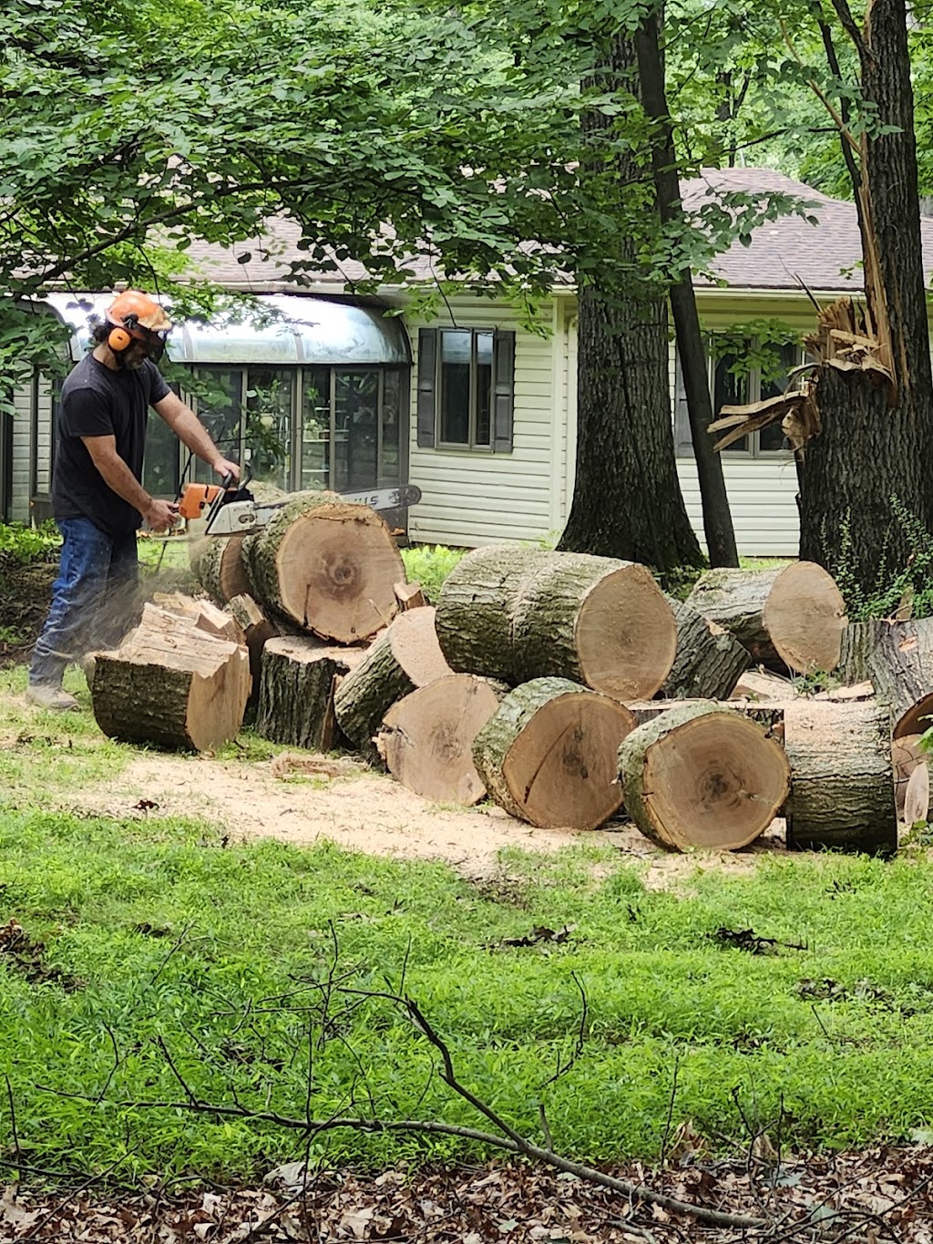 AR Tree Service | Associated Tree Services