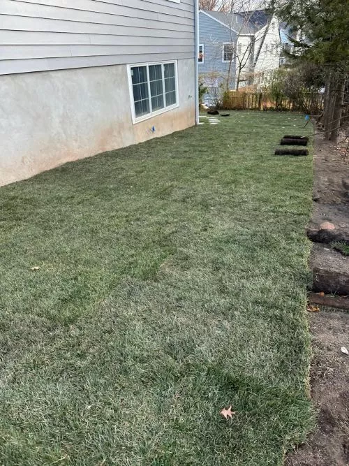 I hired FCM Tree Services LLC for a large job that included removing multiple shrubs, two fallen apple trees, and pruning 4